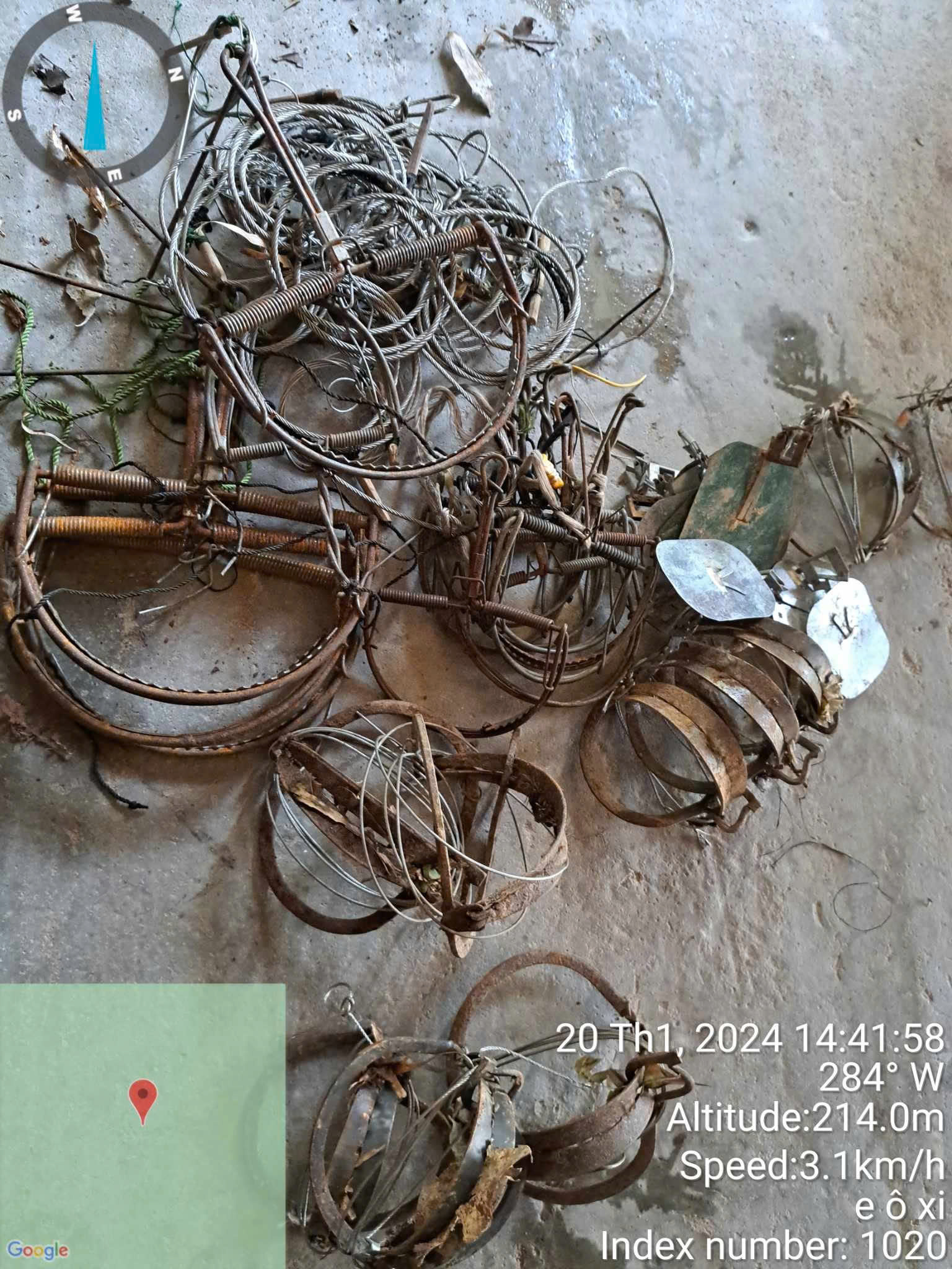 Bẫy ảnh bất ngờ ghi nhận nhiều động vật quý hiếm tại khu bảo tồn ở Quảng Nam- Ảnh 29. Bẫy ảnh bất ngờ ghi nhận nhiều động vật quý hiếm tại khu bảo tồn ở Quảng Nam- Ảnh 29.