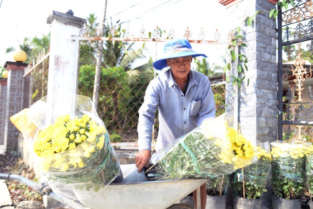 Làng hoa lớn nhất Tiền Giang rộn ràng vụ Tết ảnh 5