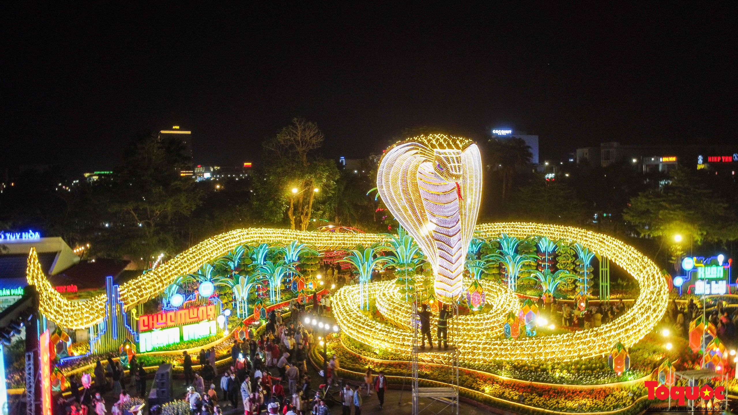 Hổ mang chúa dài 135 m chào Xuân Ất Tỵ ở Phú Yên - Ảnh 2. Hổ mang chúa dài 135 m chào Xuân Ất Tỵ ở Phú Yên - Ảnh 2.