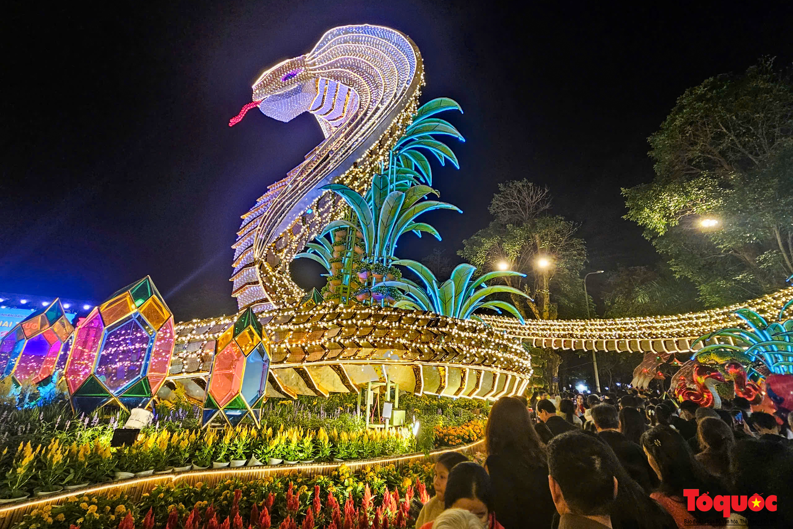 Hổ mang chúa dài 135 m chào Xuân Ất Tỵ ở Phú Yên - Ảnh 4. Hổ mang chúa dài 135 m chào Xuân Ất Tỵ ở Phú Yên - Ảnh 4.