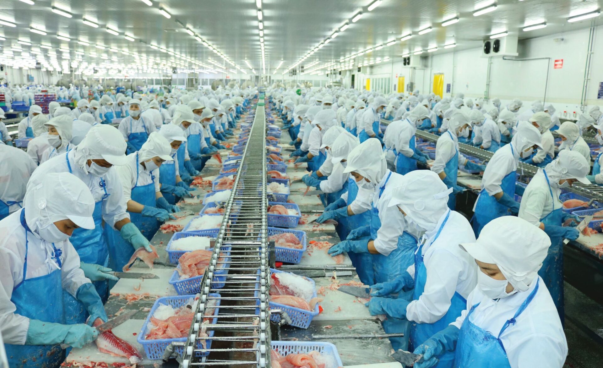 tat/Doanh nghiệp thủy sản chủ động ứng biến khi xuất khẩu vào Mỹ - Ảnh 2.