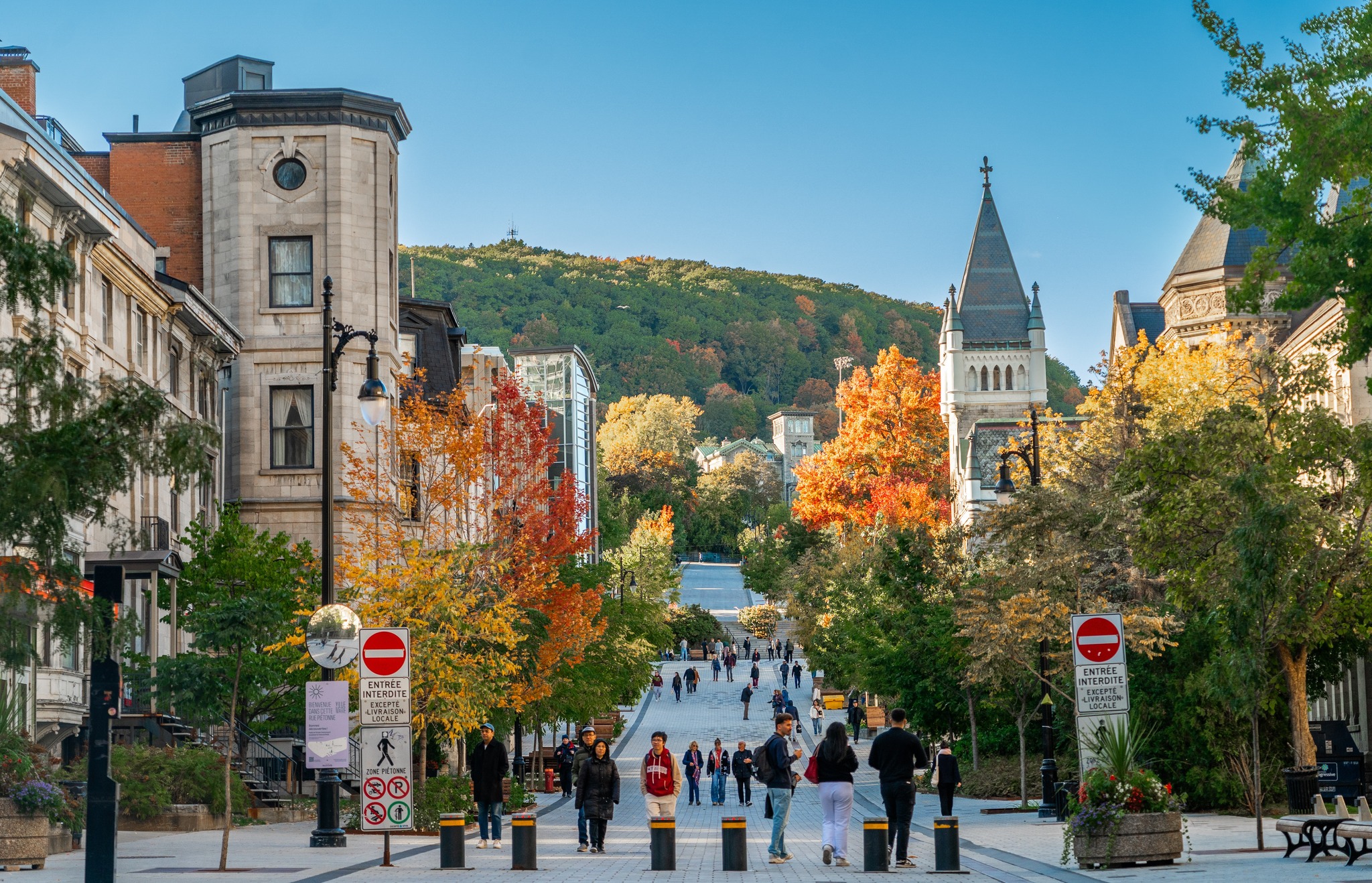 Canada mở rộng cơ hội để du học sinh ở lại làm việc- Ảnh 1. Canada mở rộng cơ hội để du học sinh ở lại làm việc- Ảnh 1.