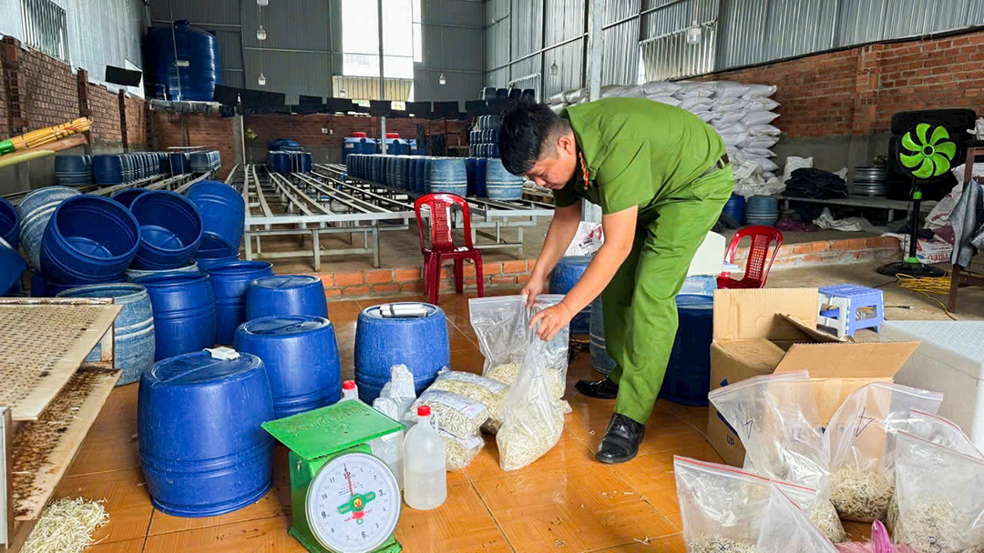 Đắk Lắk truy trách nhiệm, tìm hướng xử lý vụ giá ngâm chất cấm - Ảnh 1. Đắk Lắk truy trách nhiệm, tìm hướng xử lý vụ giá ngâm chất cấm - Ảnh 1.