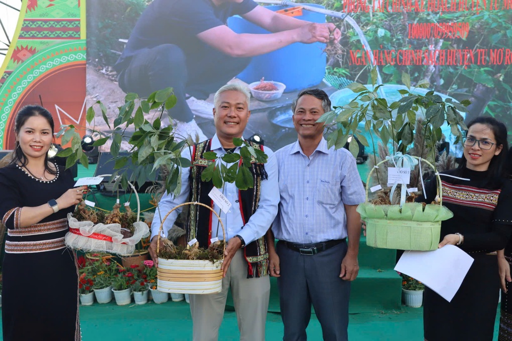Đấu giá 3,6kg sâm Ngọc Linh, thu hơn 580 triệu đồng để tặng bà con Xơ Đăng - 2 Đấu giá 3,6kg sâm Ngọc Linh, thu hơn 580 triệu đồng để tặng bà con Xơ Đăng - 2