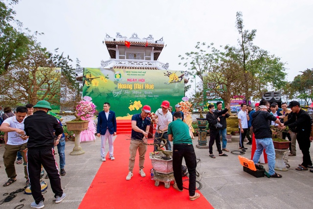Hàng trăm gốc mai đẹp khoe dáng tại "Ngày hội Hoàng mai Huế 2025" - Ảnh 1. Hàng trăm gốc mai đẹp khoe dáng tại "Ngày hội Hoàng mai Huế 2025" - Ảnh 1.