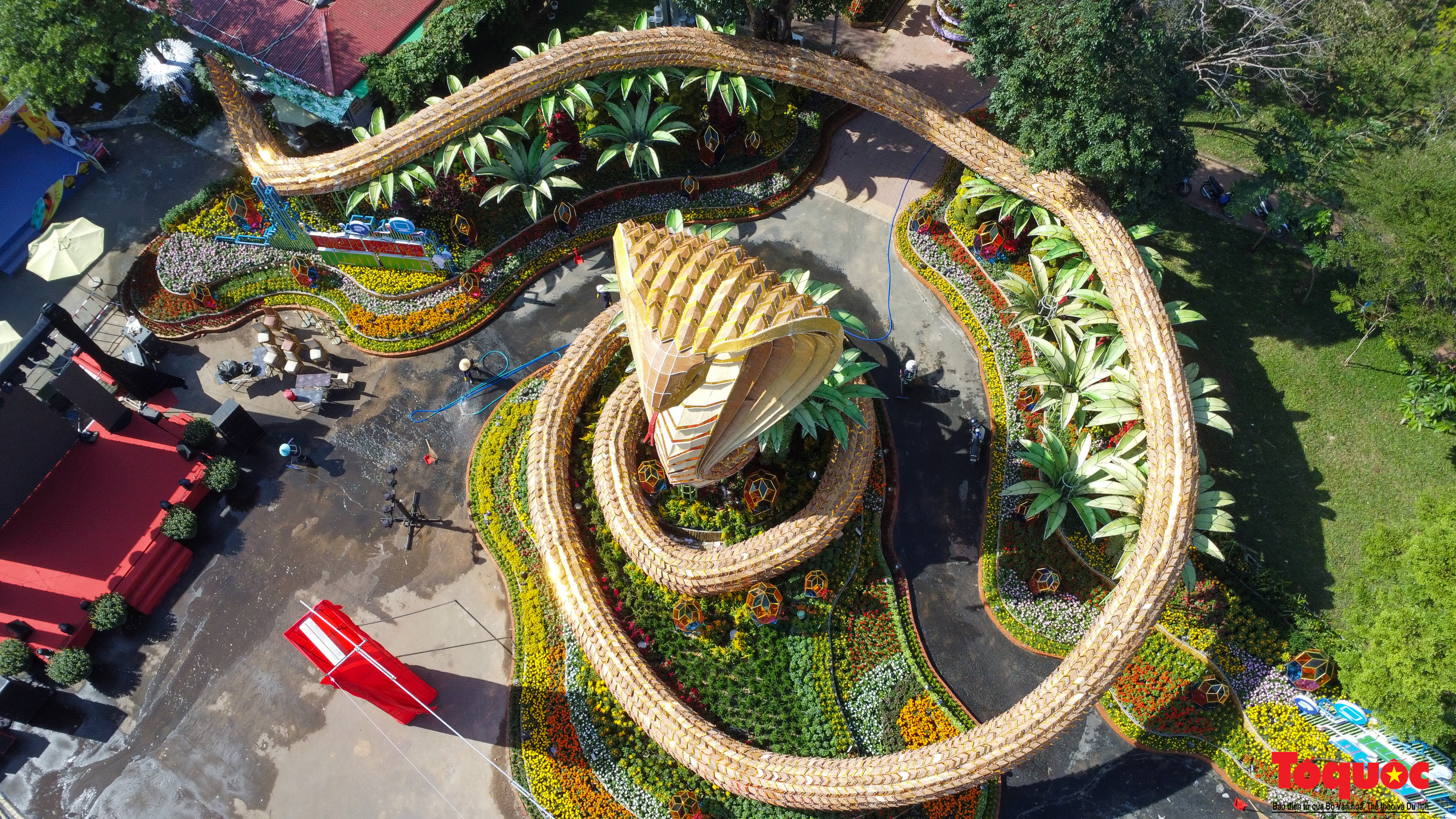 Hổ mang chúa dài 135 m chào Xuân Ất Tỵ ở Phú Yên - Ảnh 1. Hổ mang chúa dài 135 m chào Xuân Ất Tỵ ở Phú Yên - Ảnh 1.