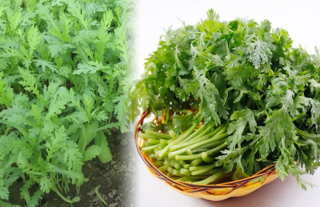 Loại rau mùa đông bán đầy chợ Việt, người bệnh tiểu đường nên ăn để hạ đường huyết, ngủ ngon hơn - Ảnh 2. Loại rau mùa đông bán đầy chợ Việt, người bệnh tiểu đường nên ăn để hạ đường huyết, ngủ ngon hơn - Ảnh 2.