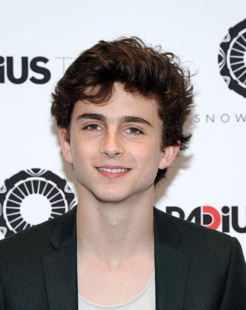 Lý do Timothée Chalamet bị phạt khi lái xe đạp điện dự ra mắt phim- Ảnh 1. Lý do Timothée Chalamet bị phạt khi lái xe đạp điện dự ra mắt phim- Ảnh 1.