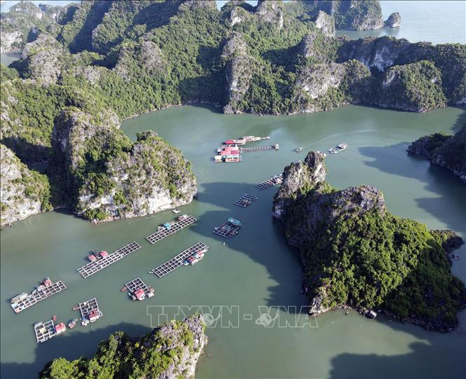 Một làng chài ở Vịnh Hạ Long của Quảng Ninh, toàn núi đá, la liệt cá ngon, con động vật đẻ ra ngọc- Ảnh 1. Một làng chài ở Vịnh Hạ Long của Quảng Ninh, toàn núi đá, la liệt cá ngon, con động vật đẻ ra ngọc- Ảnh 1.