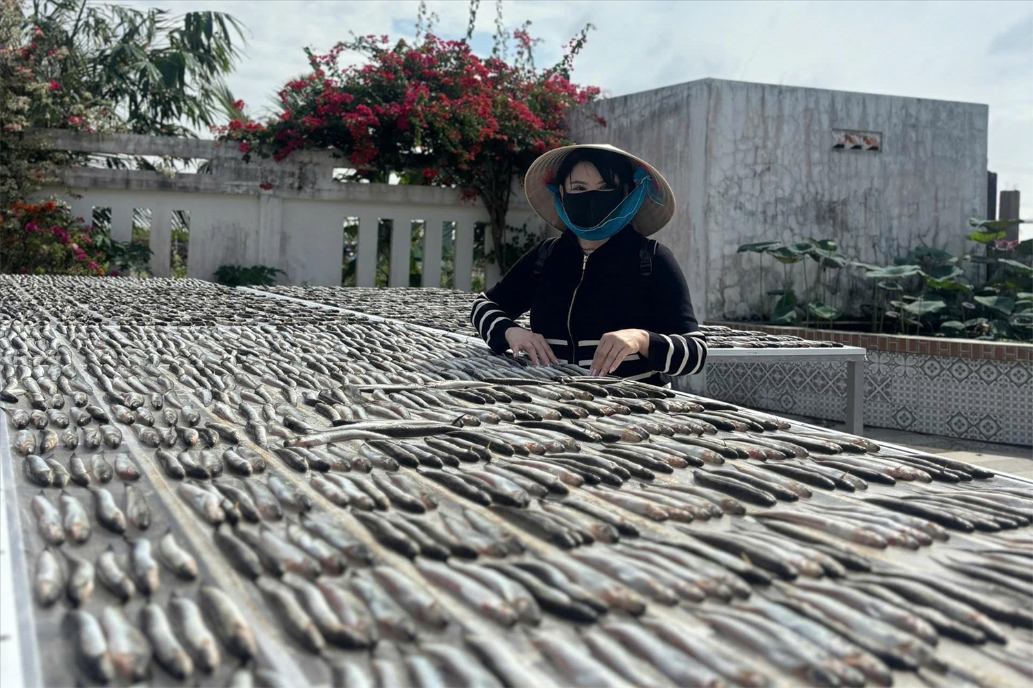 Người dân tại các làng khô biển tăng cường sản xuất để phục vụ nhu cầu dịp tết Người dân tại các làng khô biển tăng cường sản xuất để phục vụ nhu cầu dịp tết