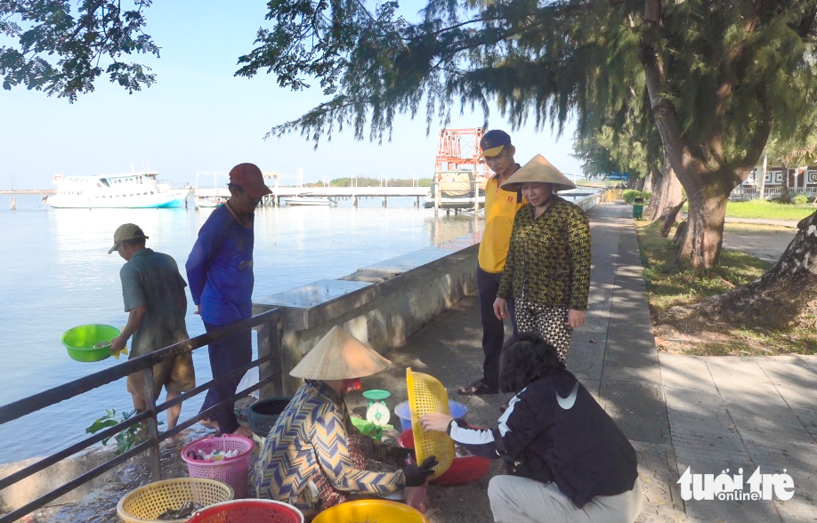 Săn cá, tép vùng biển bồi Kiên Giang đón Tết - Ảnh 5.