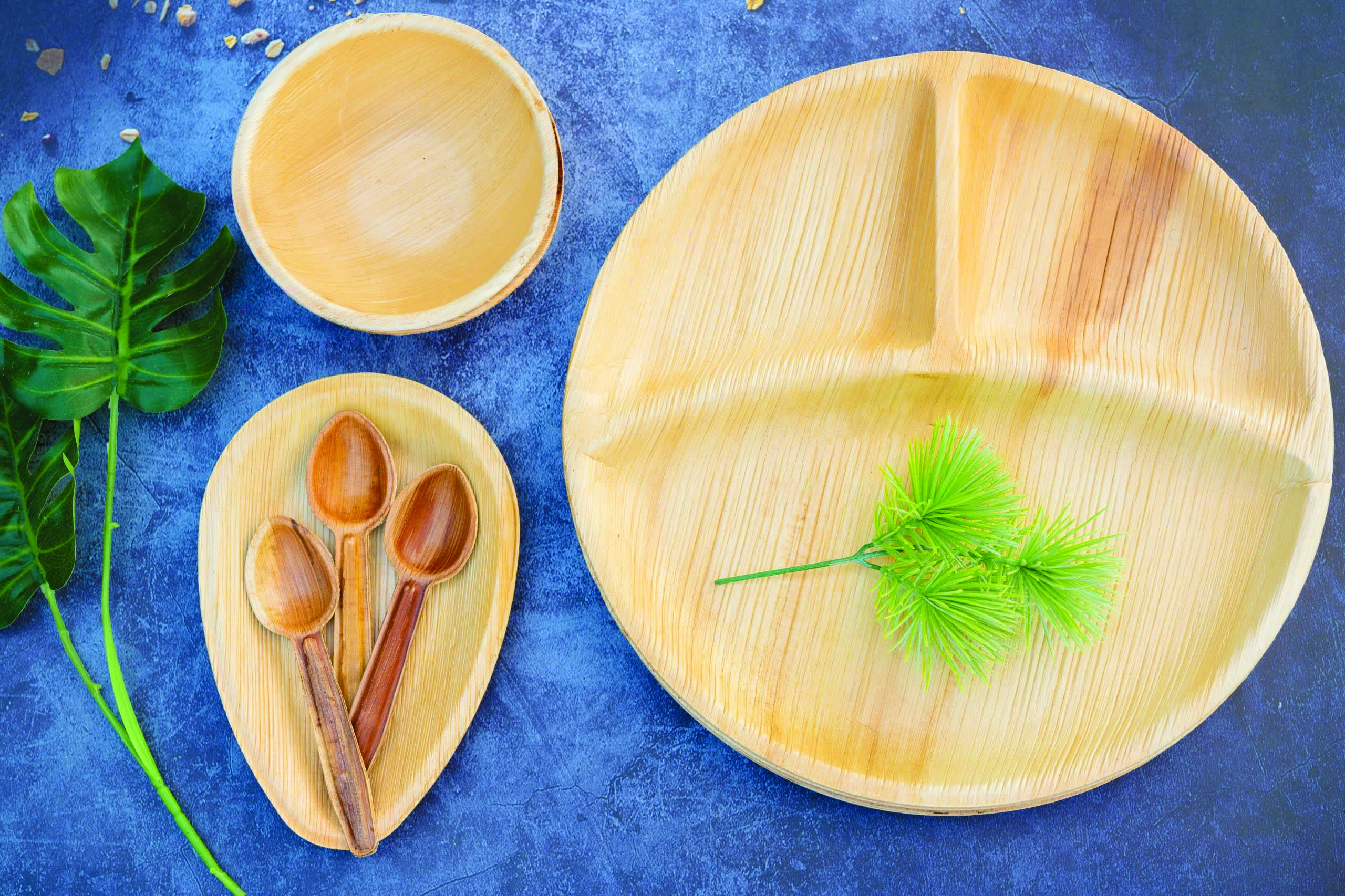 Tạo vòng đời mới cho mo cau- Ảnh 1. Tạo vòng đời mới cho mo cau- Ảnh 1.