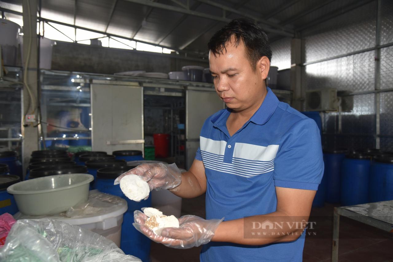 Bỏ việc lương tốt về quê nấu thứ gì mà 8X Quảng Ninh làm nên một sản phẩm OCOP, lãi 70 triệu/tháng - Vietnam.vn Bỏ việc lương tốt về quê nấu thứ gì mà 8X Quảng Ninh làm nên một sản phẩm OCOP, lãi 70 triệu/tháng