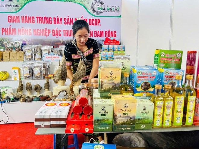 Đam Rông sáng tạo, đưa sản phẩm OCOP núi rừng bay xa Đam Rông sáng tạo, đưa sản phẩm OCOP núi rừng bay xa