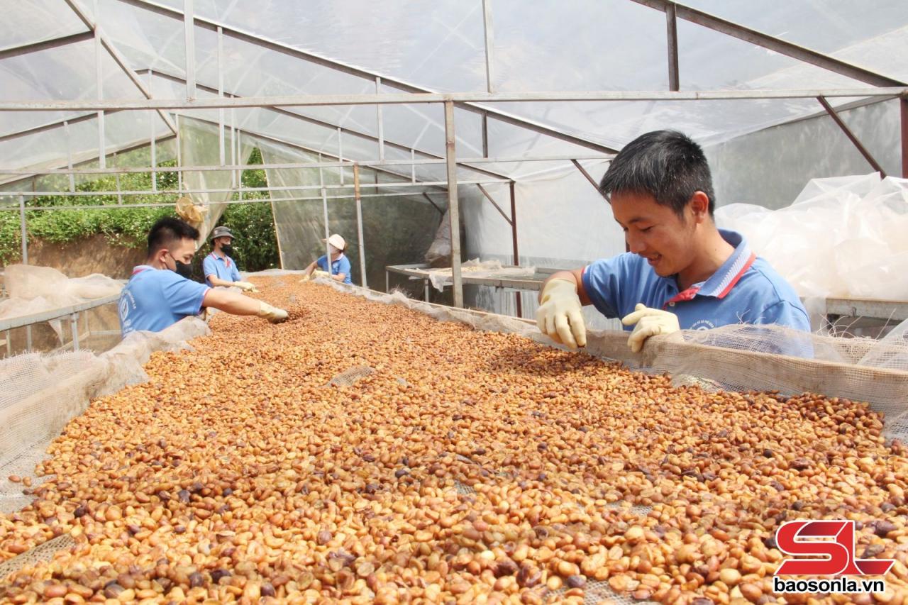 Giữ gìn, phát huy giá trị văn hóa trong sản phẩm OCOP Giữ gìn, phát huy giá trị văn hóa trong sản phẩm OCOP