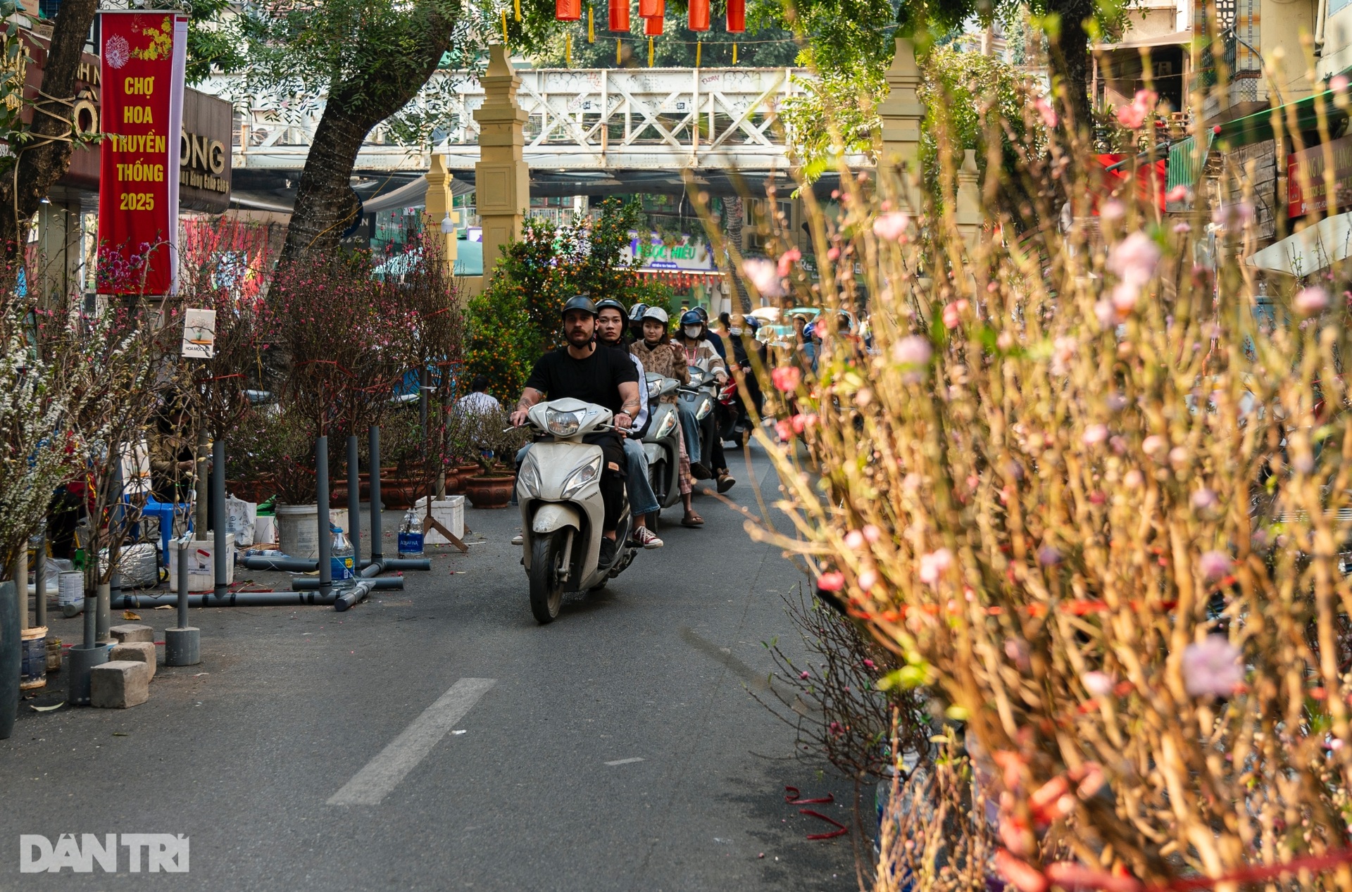 Khách Tây thích thú tận hưởng không khí Tết Nguyên đán ở Hà Nội - 6 Khách Tây thích thú tận hưởng không khí Tết Nguyên đán ở Hà Nội - 6