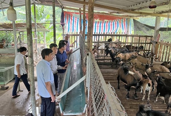 Lâm Bình – Tuyên Quang: Nâng cao giá trị sản phẩm OCOP giúp dân thoát nghèo - Vietnam.vn Lâm Bình – Tuyên Quang: Nâng cao giá trị sản phẩm OCOP giúp dân thoát nghèo