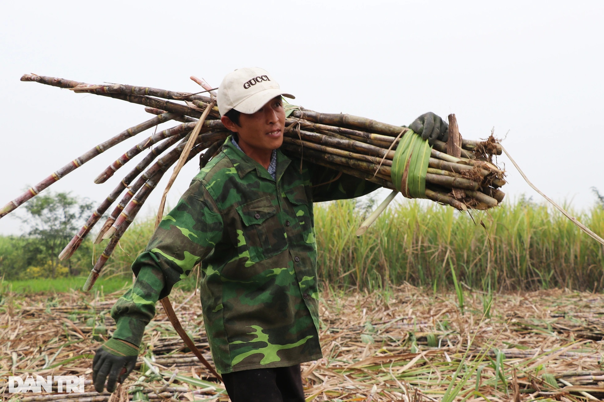 Đổ mồ hôi đứng bếp nấu thứ nước sóng sánh, thơm ngọt gọi Tết - 2 Đổ mồ hôi đứng bếp nấu thứ nước sóng sánh, thơm ngọt gọi Tết - 2