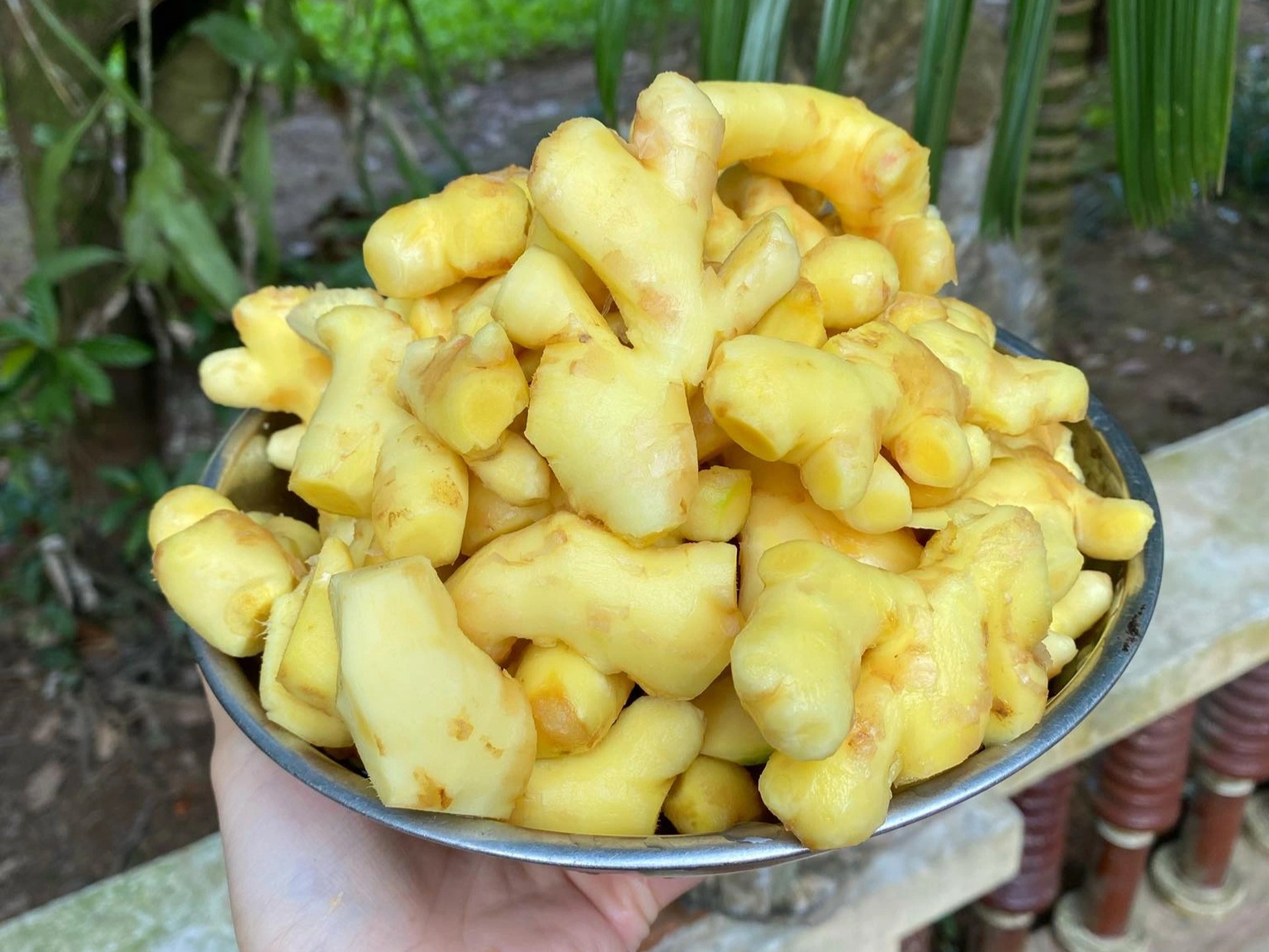 Hướng dẫn làm mứt gừng thơm, dẻo nhâm nhi ngày Tết - 3 Hướng dẫn làm mứt gừng thơm, dẻo nhâm nhi ngày Tết - 3