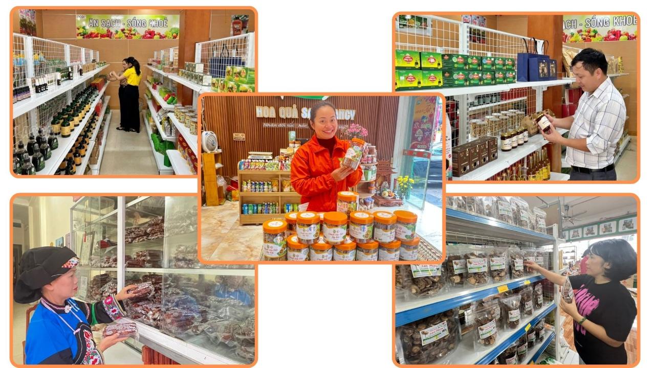 Sản phẩm OCOP đón mùa vụ quan trọng nhất trong năm Sản phẩm OCOP đón mùa vụ quan trọng nhất trong năm