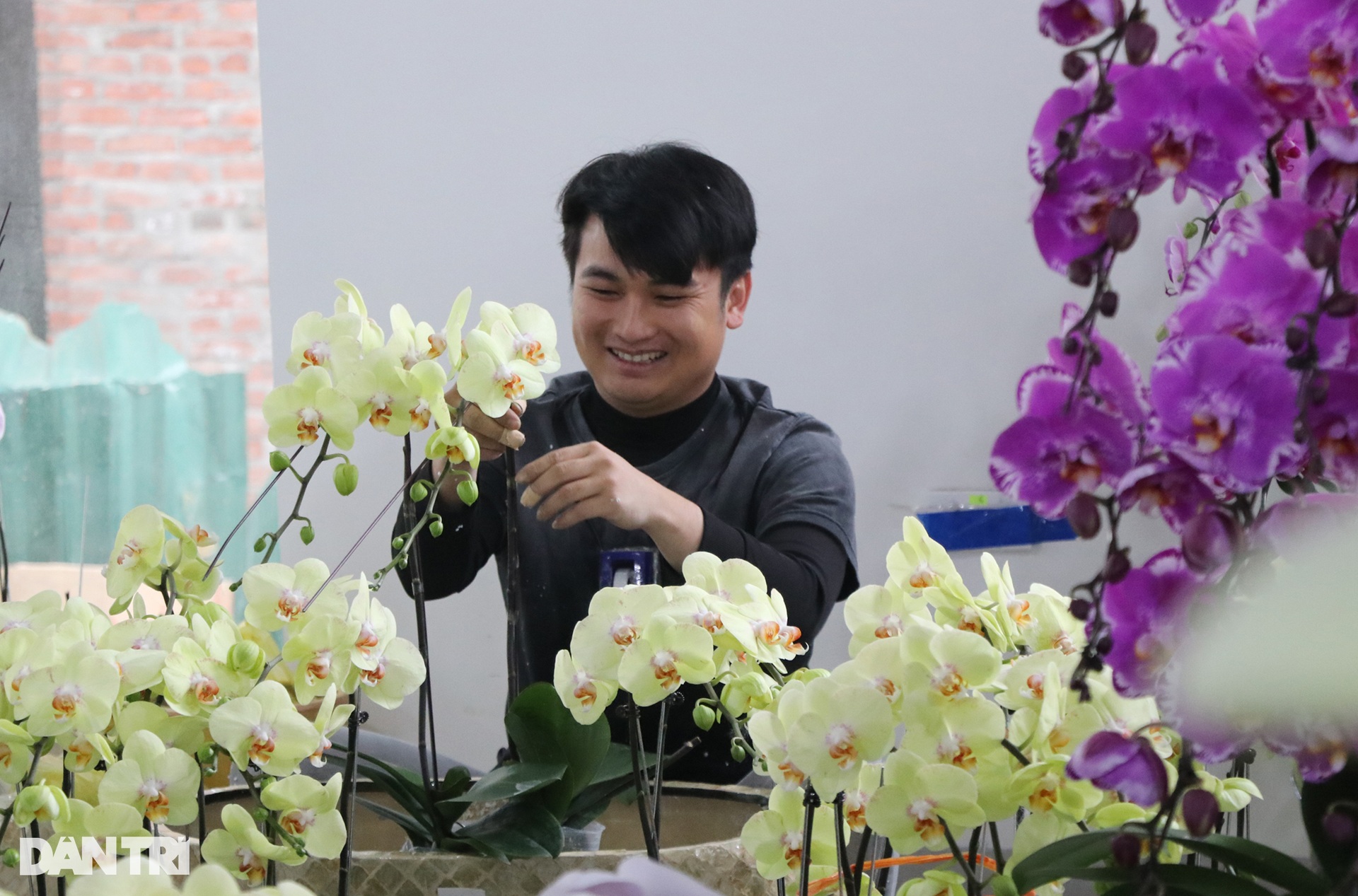 Kiếm cả trăm triệu đồng dịp cận Tết, thợ kết hoa lan ngủ ngày cày đêm - 6 Kiếm cả trăm triệu đồng dịp cận Tết, thợ kết hoa lan ngủ ngày cày đêm - 6