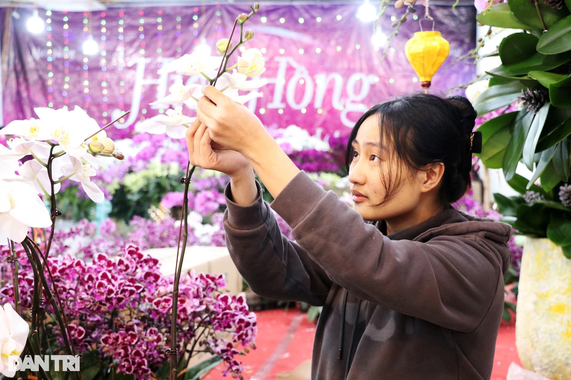 Kiếm cả trăm triệu đồng dịp cận Tết, thợ kết hoa lan ngủ ngày cày đêm - 4 Kiếm cả trăm triệu đồng dịp cận Tết, thợ kết hoa lan ngủ ngày cày đêm - 4