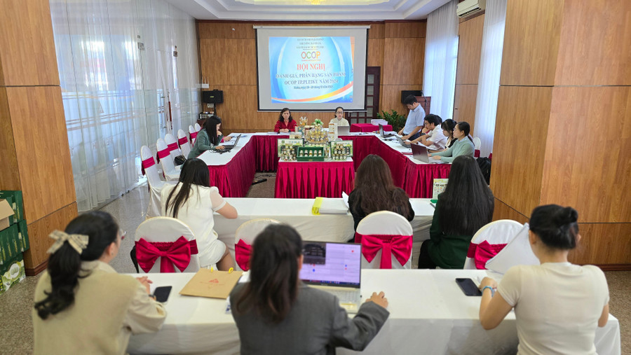 TP. Pleiku đánh giá, phân hạng 22 sản phẩm OCOP năm 2024 - Vietnam.vn TP. Pleiku đánh giá, phân hạng 22 sản phẩm OCOP năm 2024
